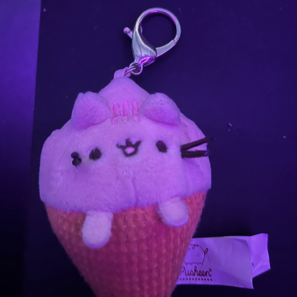 pusheen keychain